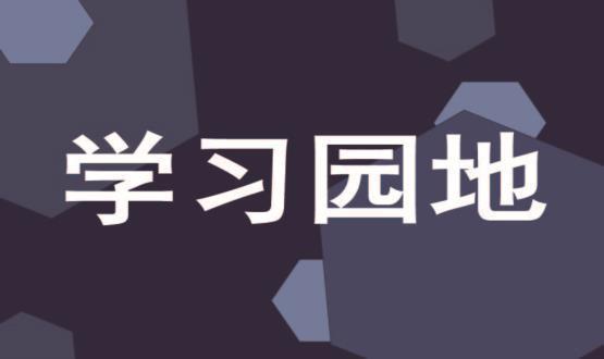 认真贯彻*总*关于*的建设的重要思想 为建设现代化国际化美丽省会城市提供坚强保证